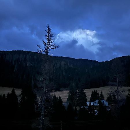 Almhaus Zirbenheim Nicolina Villa Flattnitz Екстериор снимка