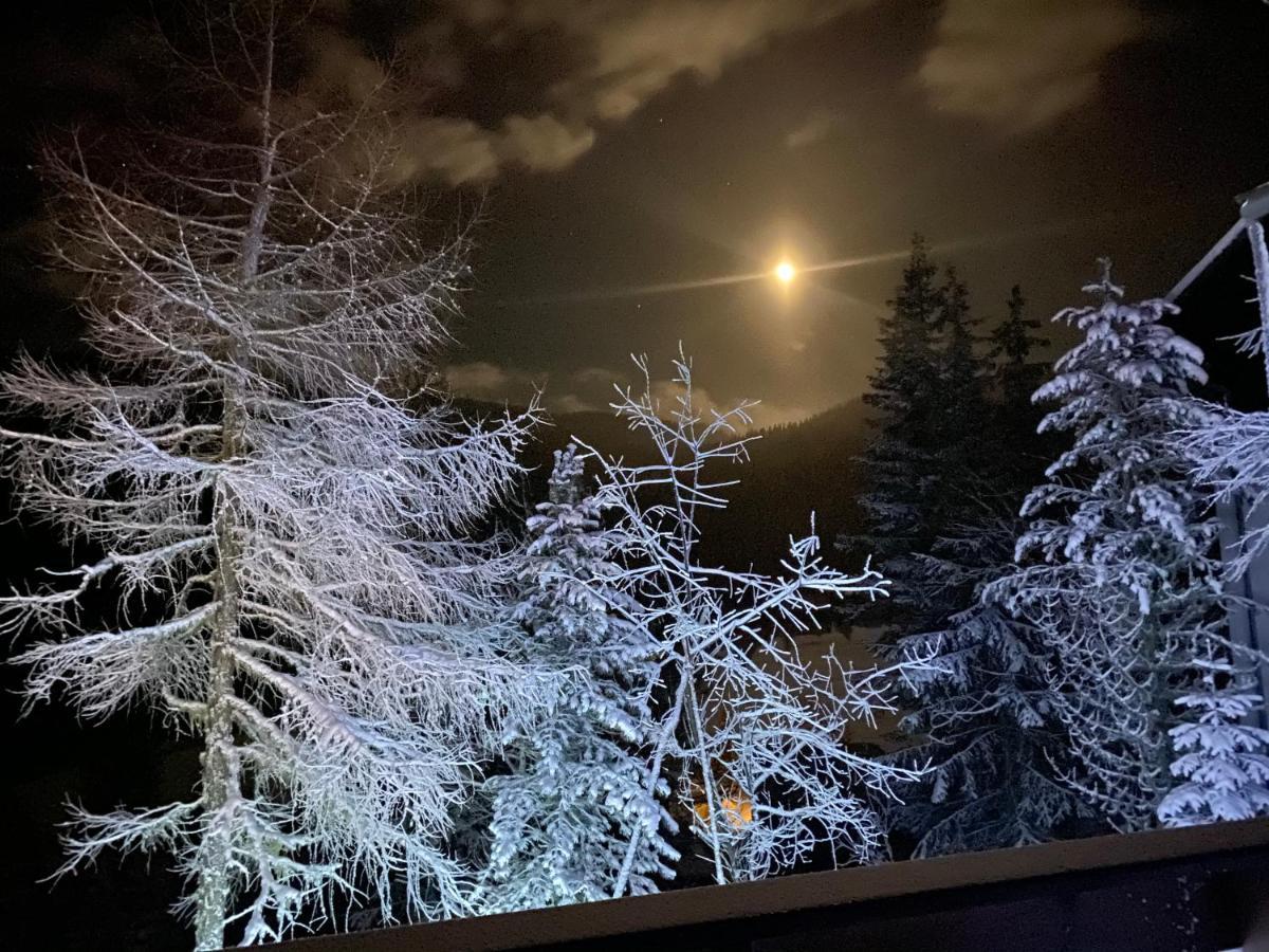 Almhaus Zirbenheim Nicolina Villa Flattnitz Екстериор снимка